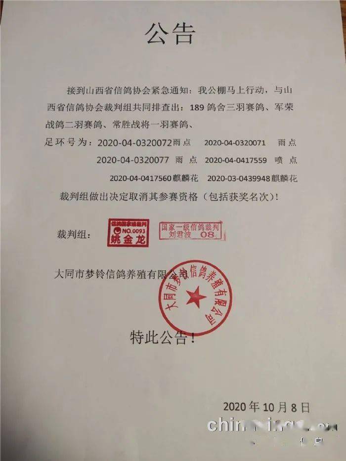 威业赛鸽公棚最新公告,威业赛鸽公棚最新通知, 体育赛事的最新动态