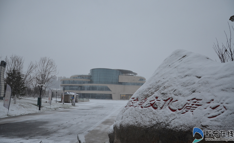 今冬烟台第一场雪来啦,烟台迎来冬季首场雪景