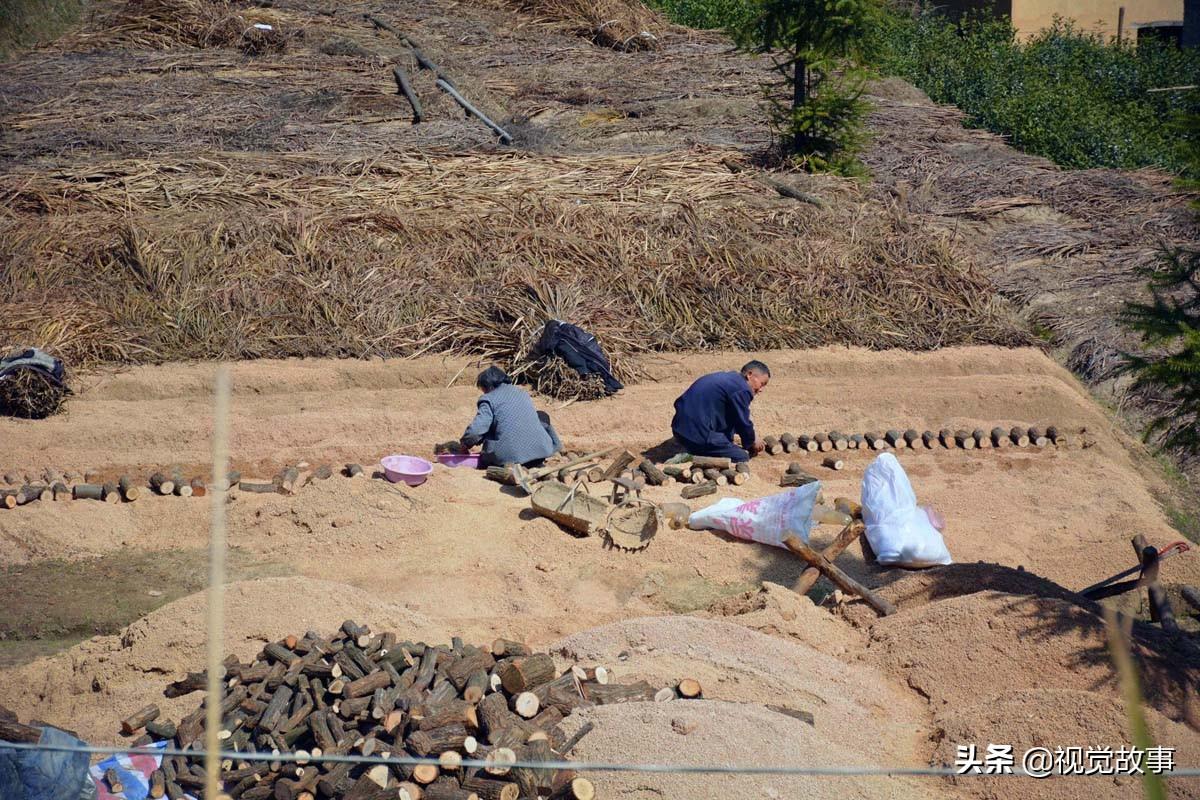 你好种地少年,种田小哥，你好呀