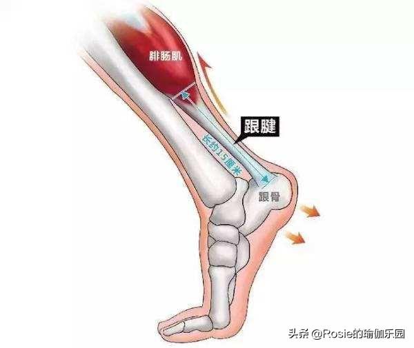 用臀部发力走路腿会变直,通过臀部驱动步伐，腿型自然变直