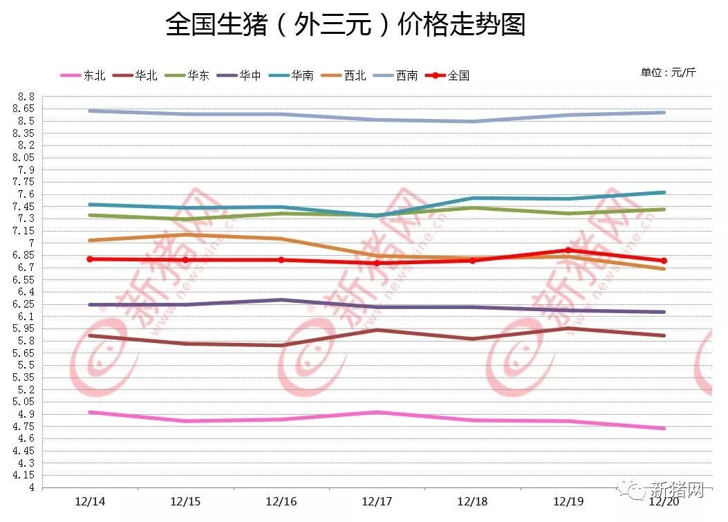 生猪价格今日猪价最新走势价格,今日生猪市场最新价格动态