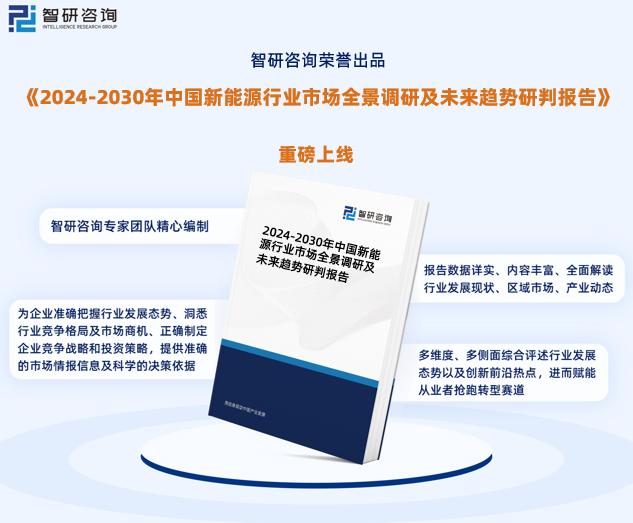 2024新奥正版资料免费提供,适用实施策略_企业版B88.276