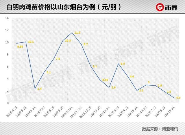 圣农发展最新消息,圣农发展动态速递