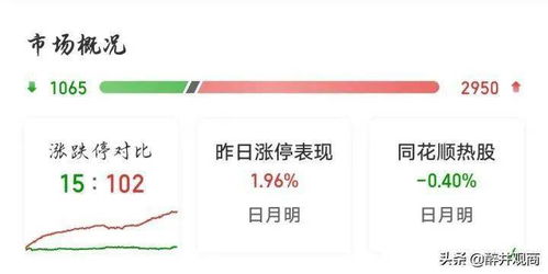 300456最新消息,“300456动态资讯速递”