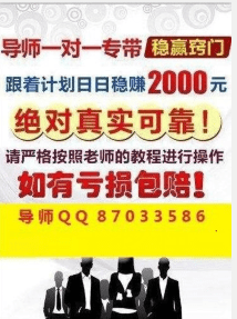 澳门一码一码100准确挂牌,揭示违法犯罪问题的重要性与应对策略_场地款W66.486