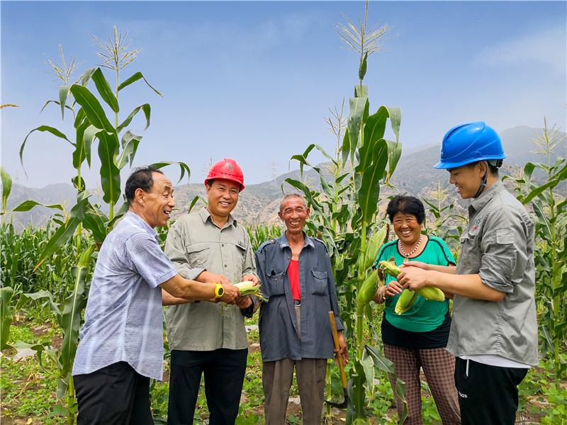 包头最新招聘信息,包头最新人才市场动态速递