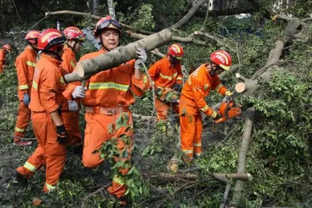 东莞台风最新消息,东莞地区台风动态实时更新。