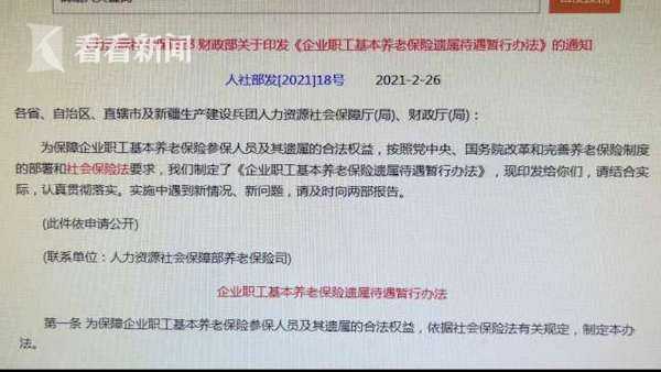 遗属补助政策最新,最新遗属补贴政策解读