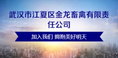 武汉市最新招聘信息,武汉招聘资讯速递