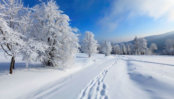 明星们的抖音开始下雪了,明星抖音迎来冬日浪漫雪景