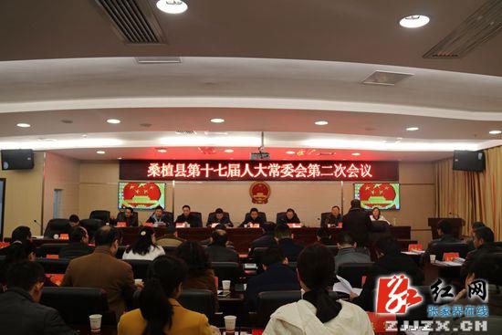 桑植县最新人事任免,桑植县最新人事调整动态揭晓。