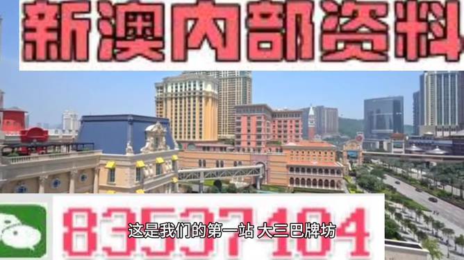 2024新奥精准正版资料,实解数解方支实调_个独版E95.356