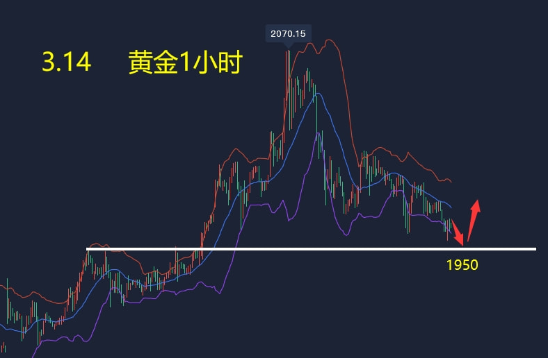 黄金最新分析走势,“金价波动分析报告出炉”