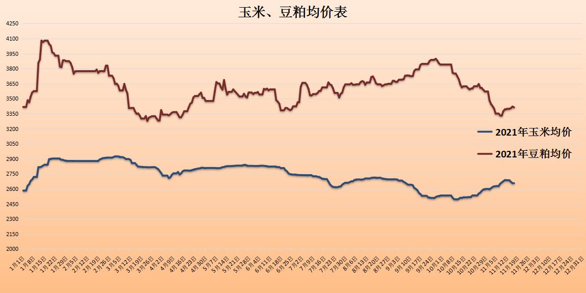 白小姐一肖期期中特资料大全澳彩公式网,精确测评解答解释计划_公开品N57.199