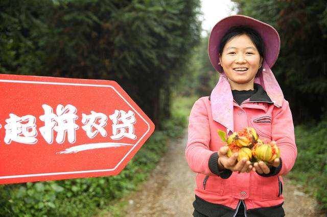 河南土豆价格最新行情,河南土豆价格节节攀升，最新动态不容忽视。