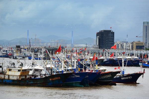 浙江舟山台风最新消息,舟山沿海地区台风动态持续更新中。