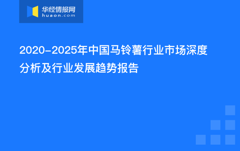 最新行业发展趋势分析,行业前沿动态深度解读