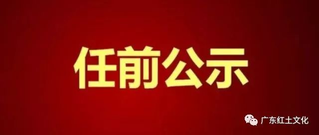 最新湛江干部任前公示,湛江干部选拔迎来最新公示，聚焦新任领导风采。