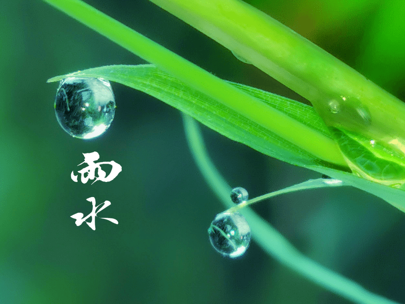 最新及时雨,及时春雨滋润人心，最新消息温暖寒冬。