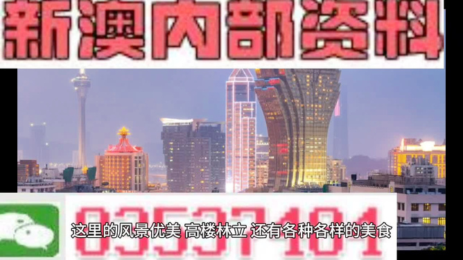 2024新奥精准正版资料,新澳门四肖三肖必开精准背后的风险与警示_框架版L1.570