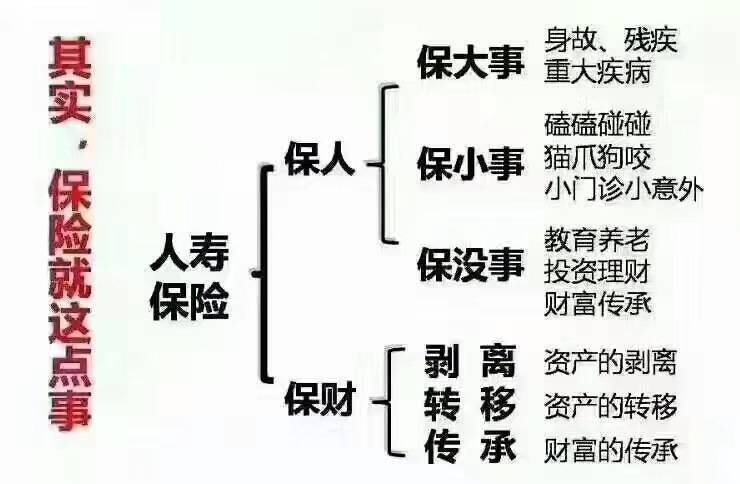 最新保险话术,前沿保险营销策略解读