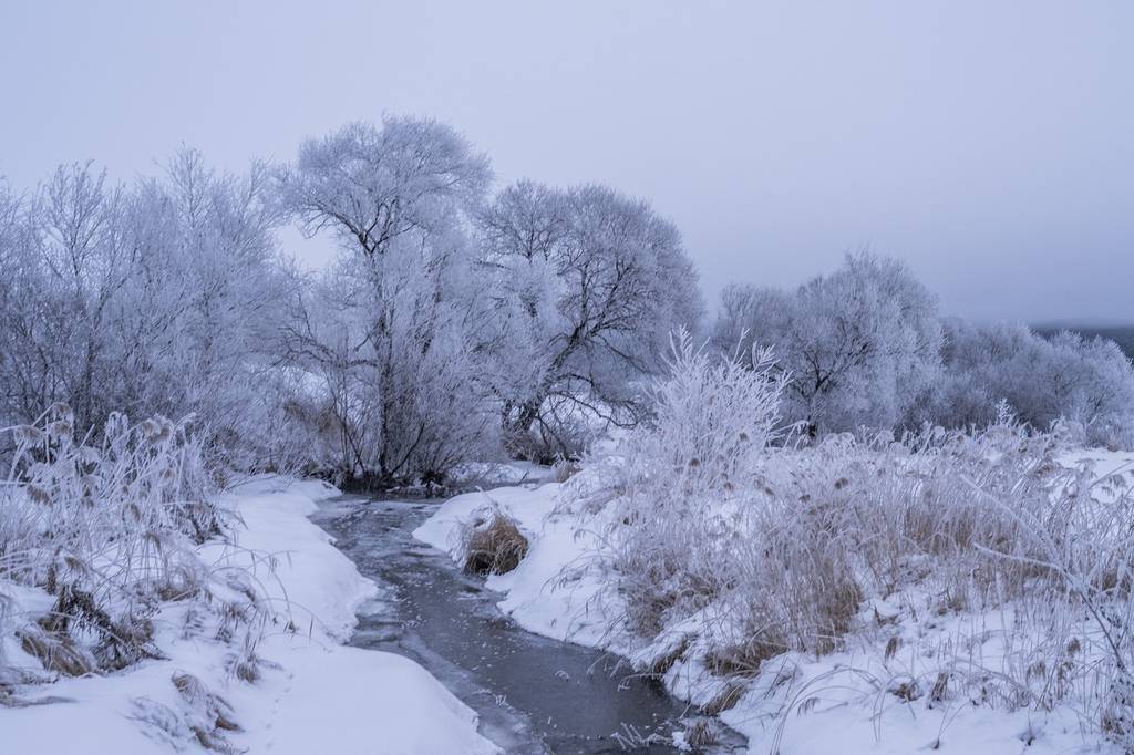 东北大雪最新,雪覆东北大地，最新雪情速递。