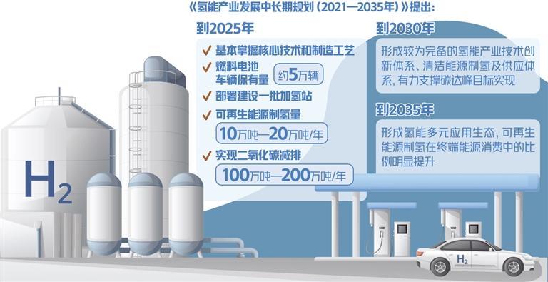 最新发酵技术,前沿科技赋能的突破性发酵技术