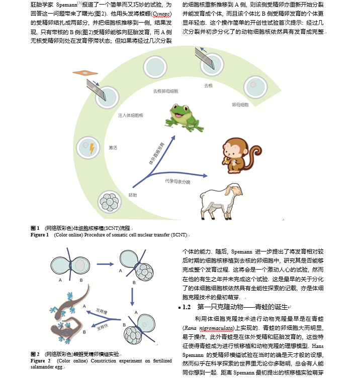 克隆技术最新情况,“前沿动态：最新克隆技术进展揭示”