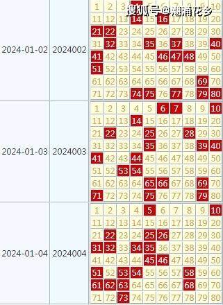 2024年天天开好彩大全,安全策略评估_金质版K62.242