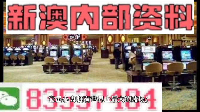 新澳2024最新资料,关于澳门钱庄与免费资料的真相_排球集C9.681