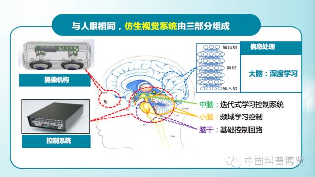 揭秘仿生镜片最新消息：探索前沿科技如何改变视觉体验与眼科医疗未来！