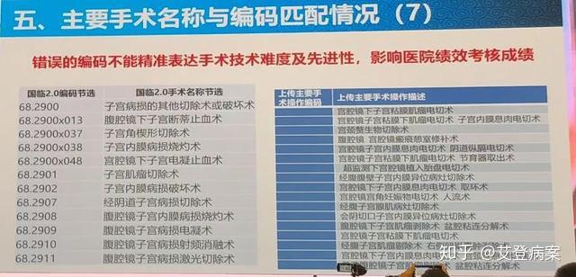 2024香港资料大全正新版,实案解释答路方现_生玩事I79.869