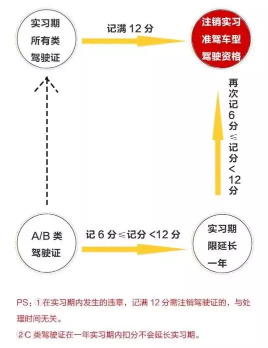 揭秘最新驾照扣分新规定：如何正确解读新政策以避免处罚与驾照损失？