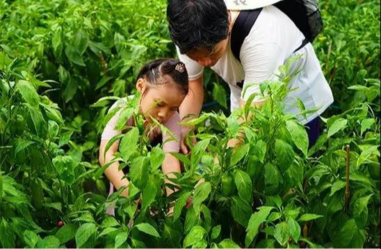 “玩吧最新版本：揭秘全新玩法与隐藏功能，探索游戏世界的无限可能！”