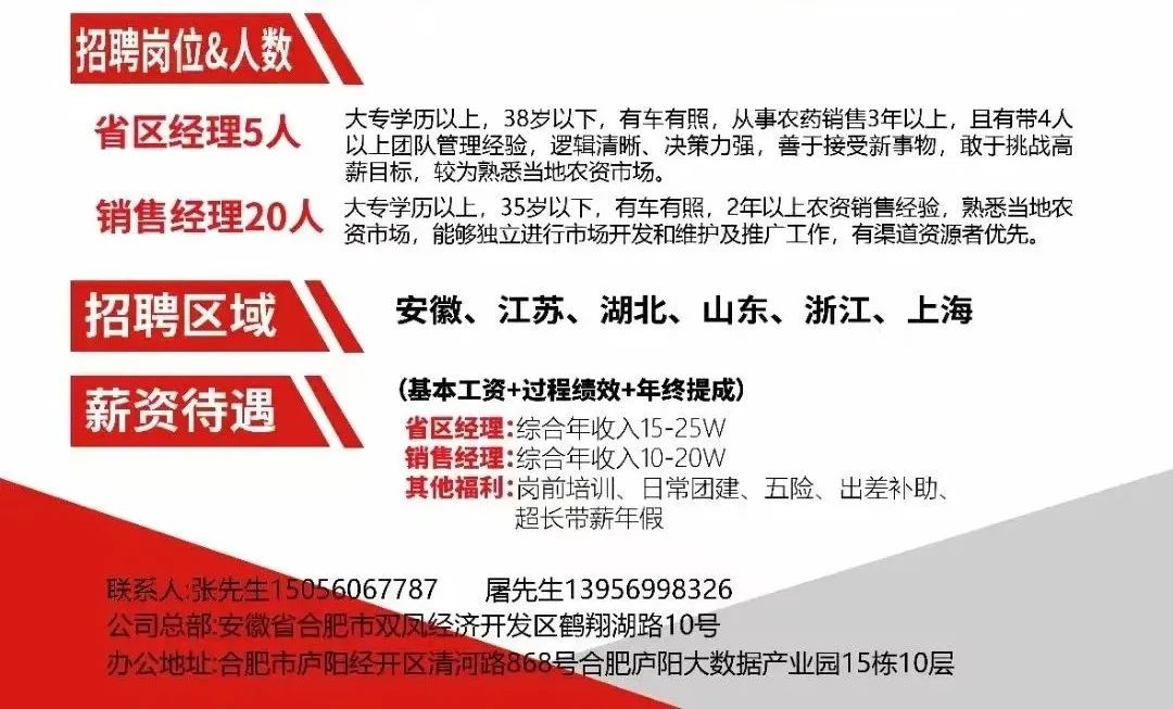 合肥招工信息最新招聘,合肥最新招聘求职信息