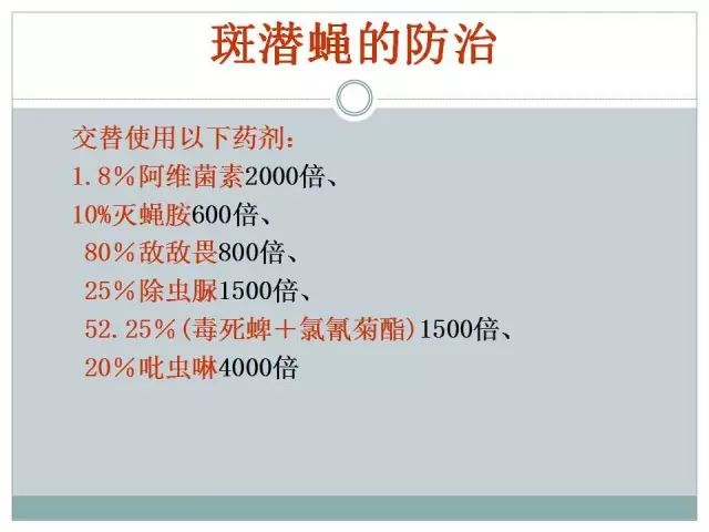 老奇人资料大全免费老奇,综合性计划落实评估_全高清E15.238