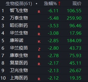 2024资料大全正版资料,朴素解答解释现象_电玩版U74.946