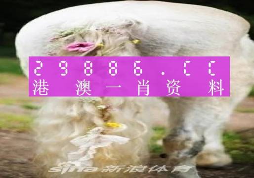 澳门一肖一码必中一肖,理论解答解释落实_珍藏款U18.313