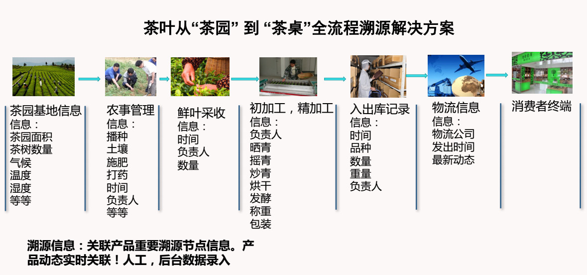 一码一肖100准资料应用,精密研究解答解释现象_扩展版A68.440