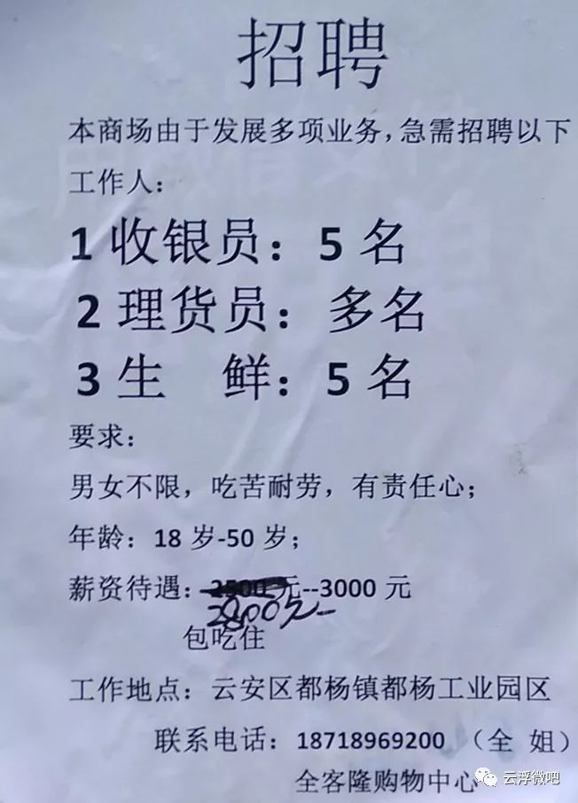 鹤山沙坪今天最新招聘,鹤山沙坪今日最新职位招聘