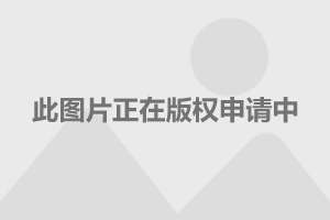 鲁豫最新新闻,鲁豫最新资讯速递