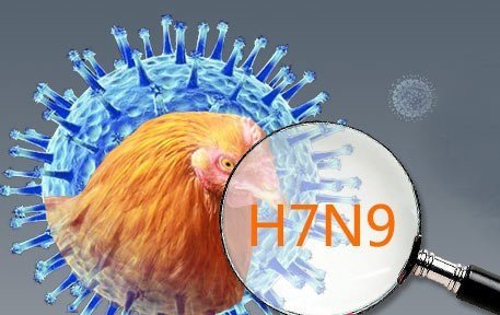 h7n9疫苗最新消息,H7N9疫苗最新资讯