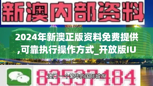 新澳2024正版资料免费大全,揭露一种可能的违法犯罪行为_结构版B78.217