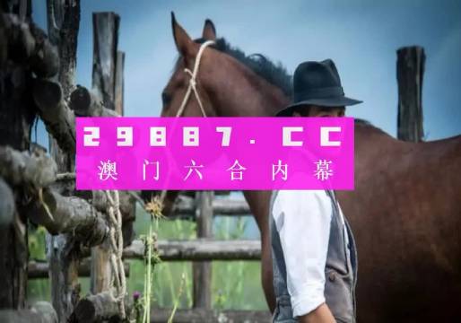 澳门6合资料金牛版,数据导向实施_罕见款J27.714