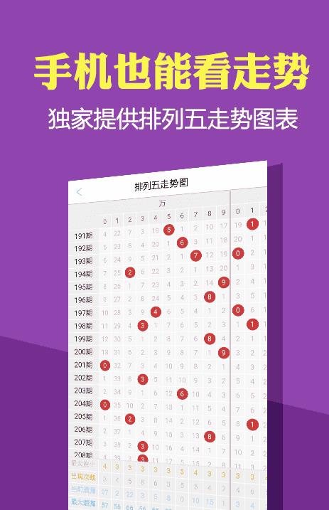 澳门正版资料大全免费版查询2,揭示背后的犯罪风险与警示意义_独家款Q67.214