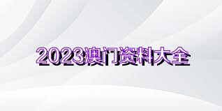 2023澳门资料大全正版资料免费网址,稳健策略操作方案_复刻型P79.242