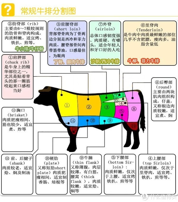 2016最新牛肉分割图,2016版牛肉切割详图解读