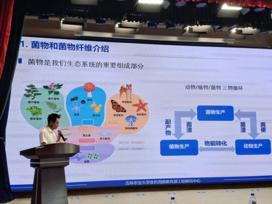 四肖八码期期准资料免费｜四肖八码精准资料免费分享｜广泛的讨论落实过程_S78.278