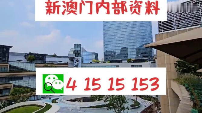 新澳门内部一码精准公开｜新澳门内部一码精准发布｜多样化解答解释定义_K60.30