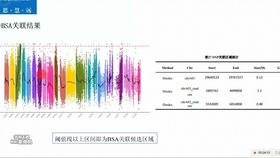 香港正宗六宝典｜香港传统六宝典｜深入执行方案数据_A32.449